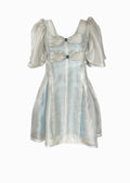 " DUSTY GREEN ORGANZA DRESS "