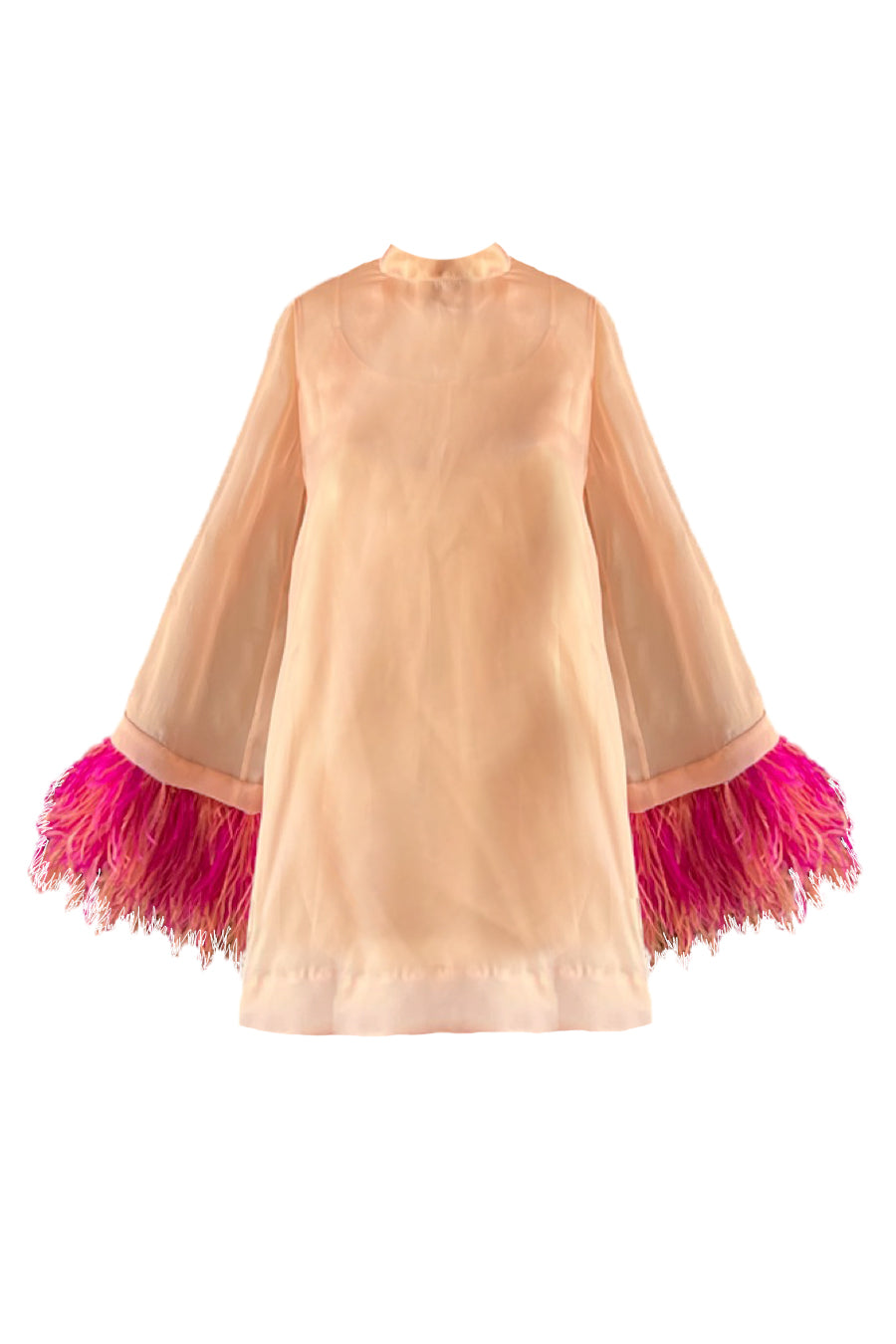 " ORGANZA & FEATHERS "