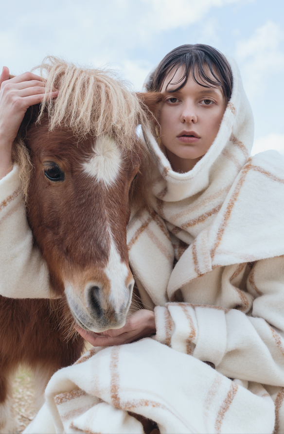 " ALPACA LOOK "