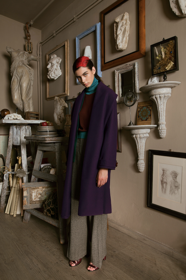 " THE PURPLE COAT "